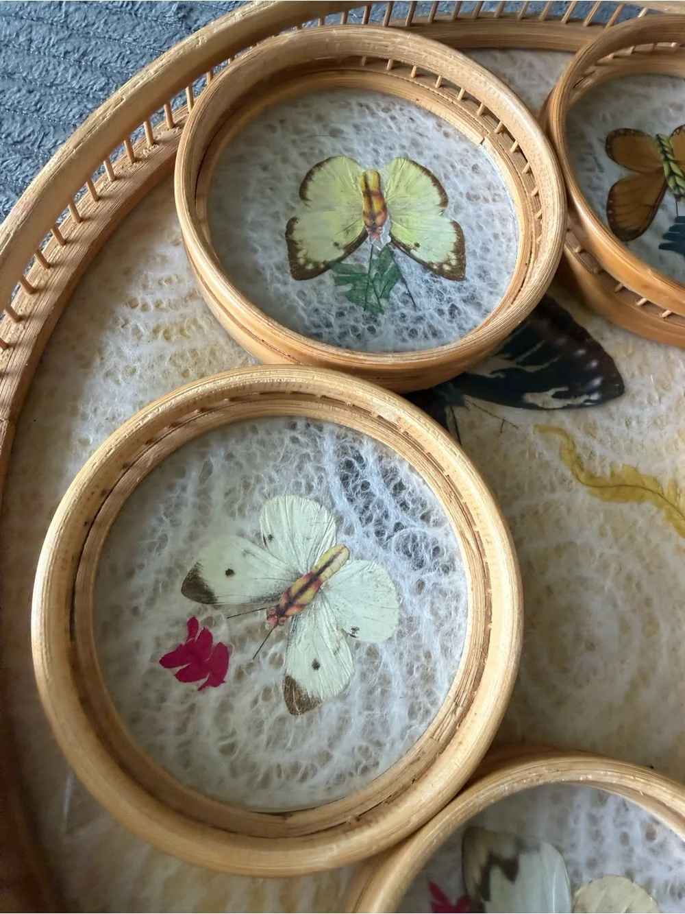 READ VTG Taxidermy Butterfly Coasters and Wicker Tray Bamboo Dried Flowers